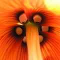 041