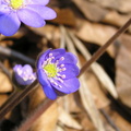 059