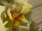079