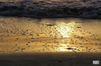 023