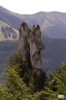 119