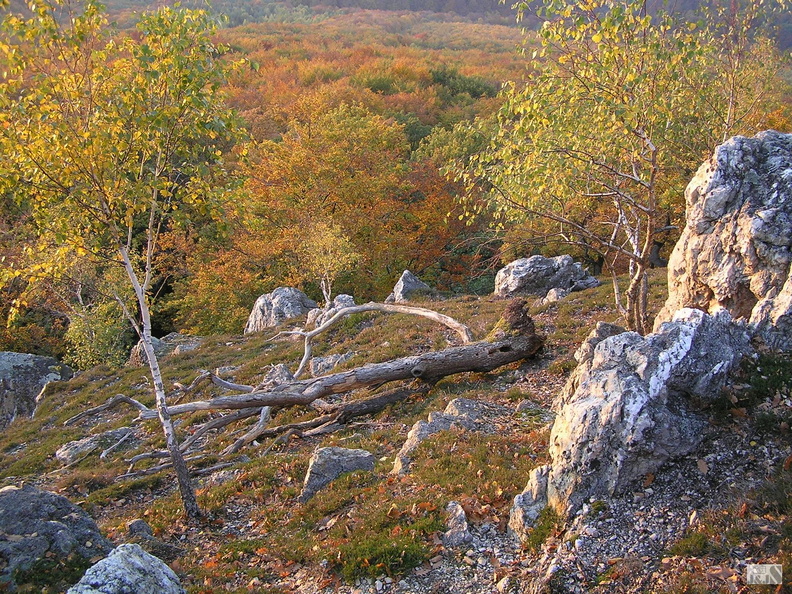 145.jpg